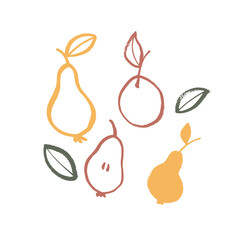 Vector image of pears in calligraphic style. Colored on a white background. Autumn. Hand drawing. Doodle. Brush strokes