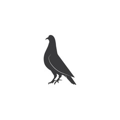pigeon icon