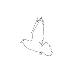 pigeon icon