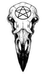 raven skull with pentagram - 449075338