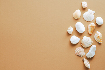 Seashells set on sand colored background. Flat lay, top view. Summer, vacation concept