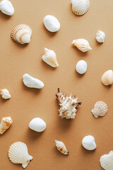 Seashells set on sand colored background. Flat lay, top view. Summer, vacation concept.