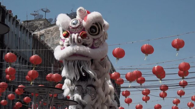 Chinese lion performing, Lunar new year celebration in Chinatown.