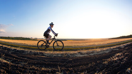 Naklejka na ściany i meble cyclist on bike rides along the fields of wheat in the sunlight