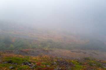 栃木県那須郡那須町の那須岳に霧の中で紅葉を見るために登山している風景 A view of climbing Mt. Nasu in Nasu-machi, Nasu-gun, Tochigi Prefecture, to see the autumn leaves in the fog.