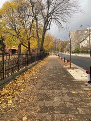autumn in the city