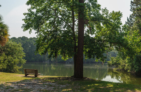 Hilton Head Island, South Carolina, USA, Sea Pines Forest Preserve