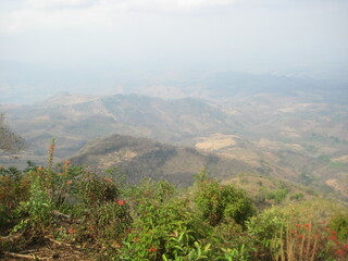 landscape with fog