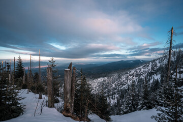 Beautiful winter wonderland scenery with trees and hills on a sunny day with blue sky and clouds in Sumava, Czech republic