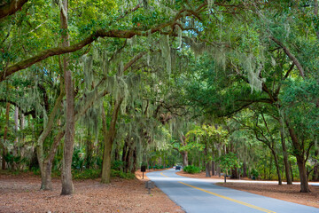 Hilton Head Island, South Carolina, USA, Sea Pines Plantation