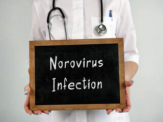 Medical concept about Norovirus Infection with sign on the page.