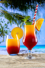 two glasses with a drink sex on the beach on the sand and a beach paradise in the background
