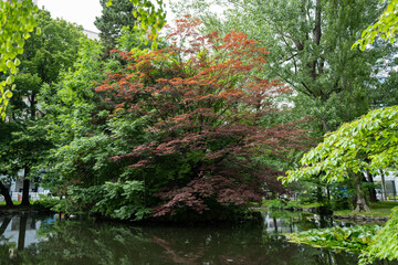北海道札幌市周辺の風景 Scenery around Sapporo City, Hokkaido 
