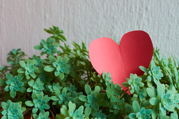Concept love of nature, environment. Paper heart over colorful plant leaves.