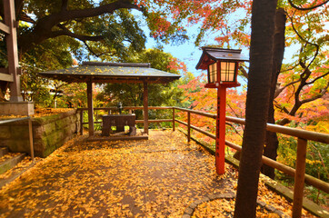 日本　東京都世田谷区にある等々力渓谷に隣接する等々力不動尊の紅葉