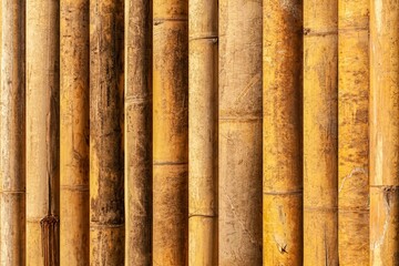 Brown old Bamboo fence texture and background seamless