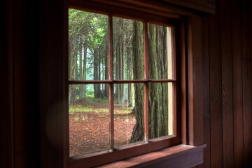 View from a wooden cottage window into a forest. Mendocino, California.