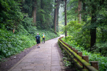 東京都八王子市の高尾山を登山している風景 Scenery of climbing Mt. Takao in Hachioji City, Tokyo.