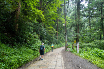Obraz premium 東京都八王子市の高尾山を登山している風景 Scenery of climbing Mt. Takao in Hachioji City, Tokyo.