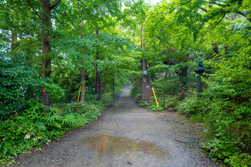 東京都八王子市の高尾山を登山している風景 Scenery of climbing Mt. Takao in Hachioji City, Tokyo.