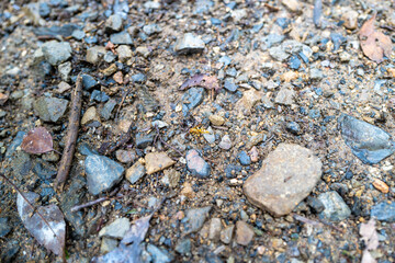 東京都八王子市の高尾山を登山している風景 Scenery of climbing Mt. Takao in Hachioji City, Tokyo.