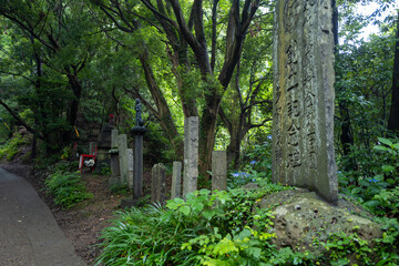 東京都八王子市の高尾山を登山している風景 Scenery of climbing Mt. Takao in Hachioji City, Tokyo.