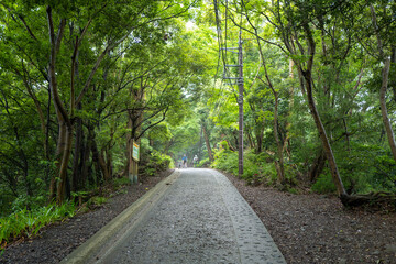 東京都八王子市の高尾山を登山している風景 Scenery of climbing Mt. Takao in Hachioji City, Tokyo.