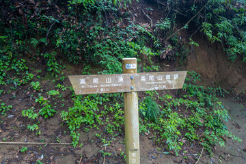 東京都八王子市の高尾山を登山している風景 Scenery of climbing Mt. Takao in Hachioji City, Tokyo.