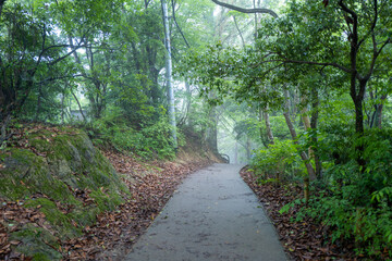 東京都八王子市の高尾山を登山している風景 Scenery of climbing Mt. Takao in...