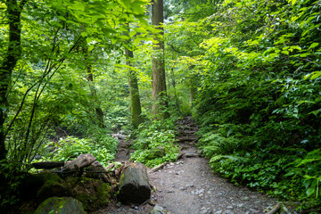 東京都八王子市の高尾山を登山している風景 Scenery of climbing Mt. Takao in Hachioji City, Tokyo.