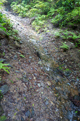 東京都八王子市の高尾山を登山している風景 Scenery of climbing Mt. Takao in Hachioji City, Tokyo.