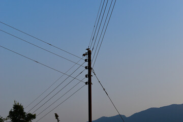 Electricity pole picture with cables from three sides at evening time