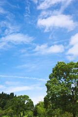 梅雨明けの初夏の青空　縦位置
