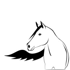 horse illustration