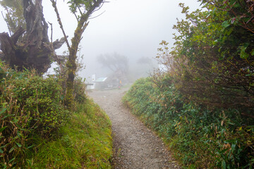 Obraz premium 徳島県美馬市、三好市、那賀町にある剣山を登山している風景 Scenery of climbing Mount Tsurugi in Mima City, Miyoshi City, and Naka Town, Tokushima Prefecture.