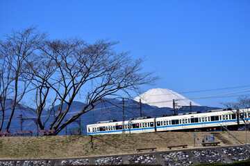 酒匂川河川敷 小田急線と富士山