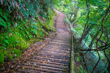 愛媛県西条市にある石槌山を紅葉の季節に登山する風景 A view of climbing...