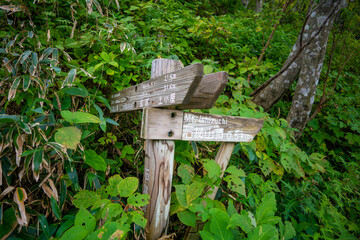 愛媛県西条市にある石槌山を紅葉の季節に登山する風景 A view of climbing Mount Ishizuchi in Saijo City, Ehime Prefecture, during the season of autumn leaves.