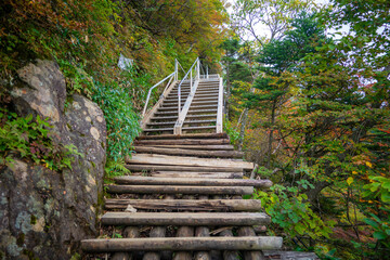 Obraz premium 愛媛県西条市にある石槌山を紅葉の季節に登山する風景 A view of climbing Mount Ishizuchi in Saijo City, Ehime Prefecture, during the season of autumn leaves.