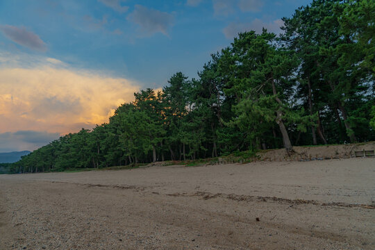 「気比の松原」の画像 218 件の Stock 写真、ベクターおよびビデオ Adobe Stock
