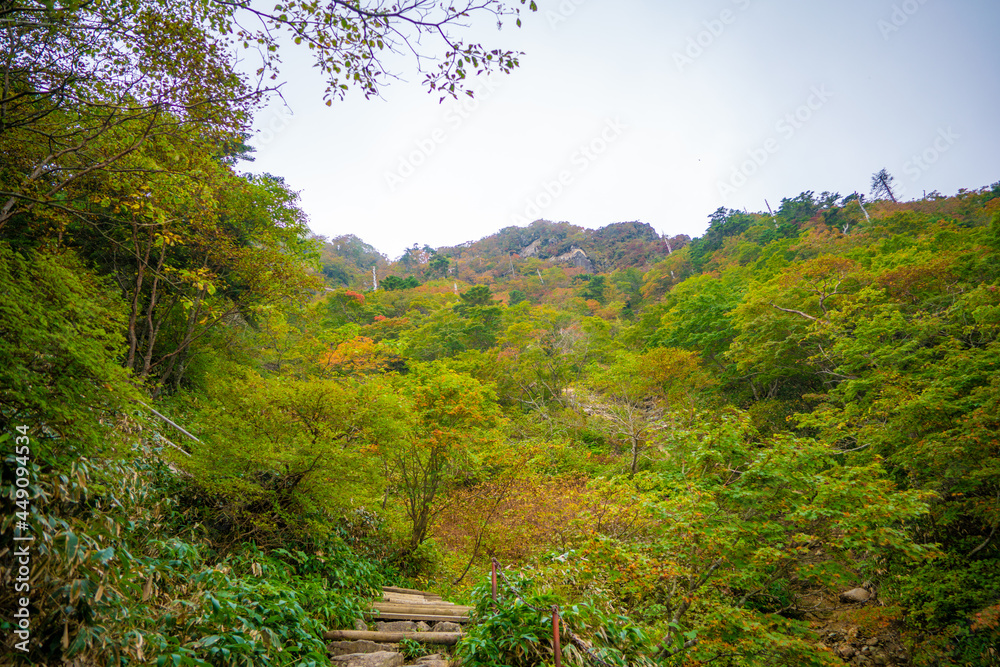 Wall mural 愛媛県西条市にある石槌山を紅葉の季節に登山する風景 a view of climbing mount ishizuchi in saijo city, ehime prefecture, during