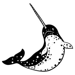Narwhal whale black and white hand drawn vector illustration. © puruan