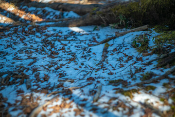 山梨県甲州市、北都留郡丹波山村にある大菩薩嶺から富士山を見るために登山している風景 A view of mountain climbing to see Mt. Fuji from Daibosatsu Ridge in Tanbayama Village, Kitatsuru-gun, Koshu City, Yamanashi Prefecture.