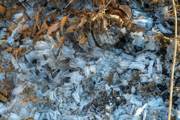 山梨県甲州市、北都留郡丹波山村にある大菩薩嶺から富士山を見るために登山している風景 A view of mountain climbing to see Mt. Fuji from Daibosatsu Ridge in Tanbayama Village, Kitatsuru-gun, Koshu City, Yamanashi Prefecture.