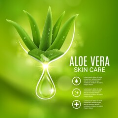 Aloe vera extract, skin care vector poster, cosmetics production ad with aloe plant and glowing drop. Moisturizing cosmetic beauty product gel or body lotion advertising design for catalog or magazine - obrazy, fototapety, plakaty