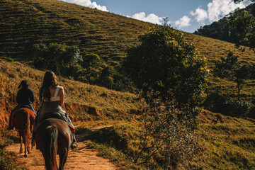 horses in the mountains