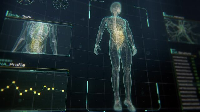 Close Up perspective view of Human Male Anatomy Scan on Futuristic Touch Screen Interface showing bones, organs, and neural network activity. Concept: In the Near Future of Medicine and Healthcare.
