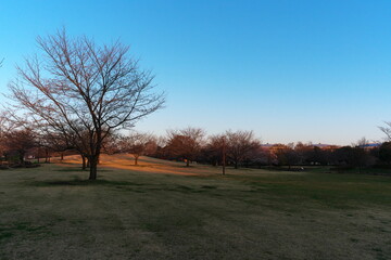 夕暮れ時の静寂な公園