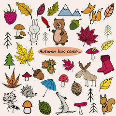 Autumn doodle, simple icons, cute forest animals