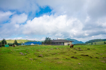 Obraz premium 長野県松本市、上田市、小県郡長和町にある美ヶ原を登山する風景 Scenery of climbing Utsukushi-ga-hara in Matsumoto City, Ueda City, and Nagawa Town, Chiisagata-gun, Nagano Prefecture.